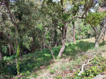 Terreny residencial en venda a Lloret Blau - La Creu de Lloret