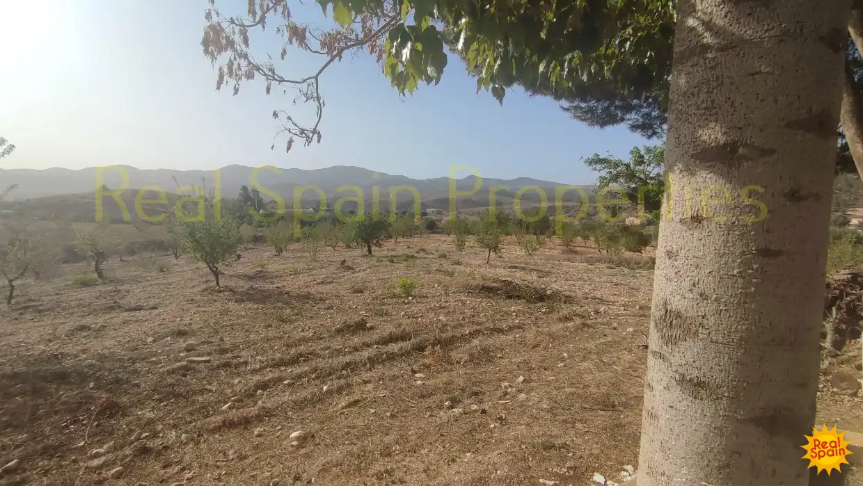 Finca rústica en venta en Vélez-Rubio con Terraza y Piscina