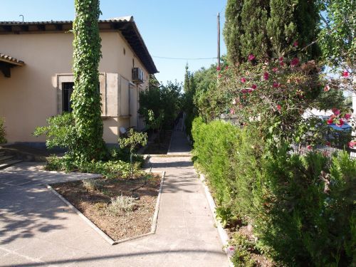 Vista exterior de Casa o xalet en venda en  Palma de Mallorca amb Aire condicionat, Jardí privat i Terrassa