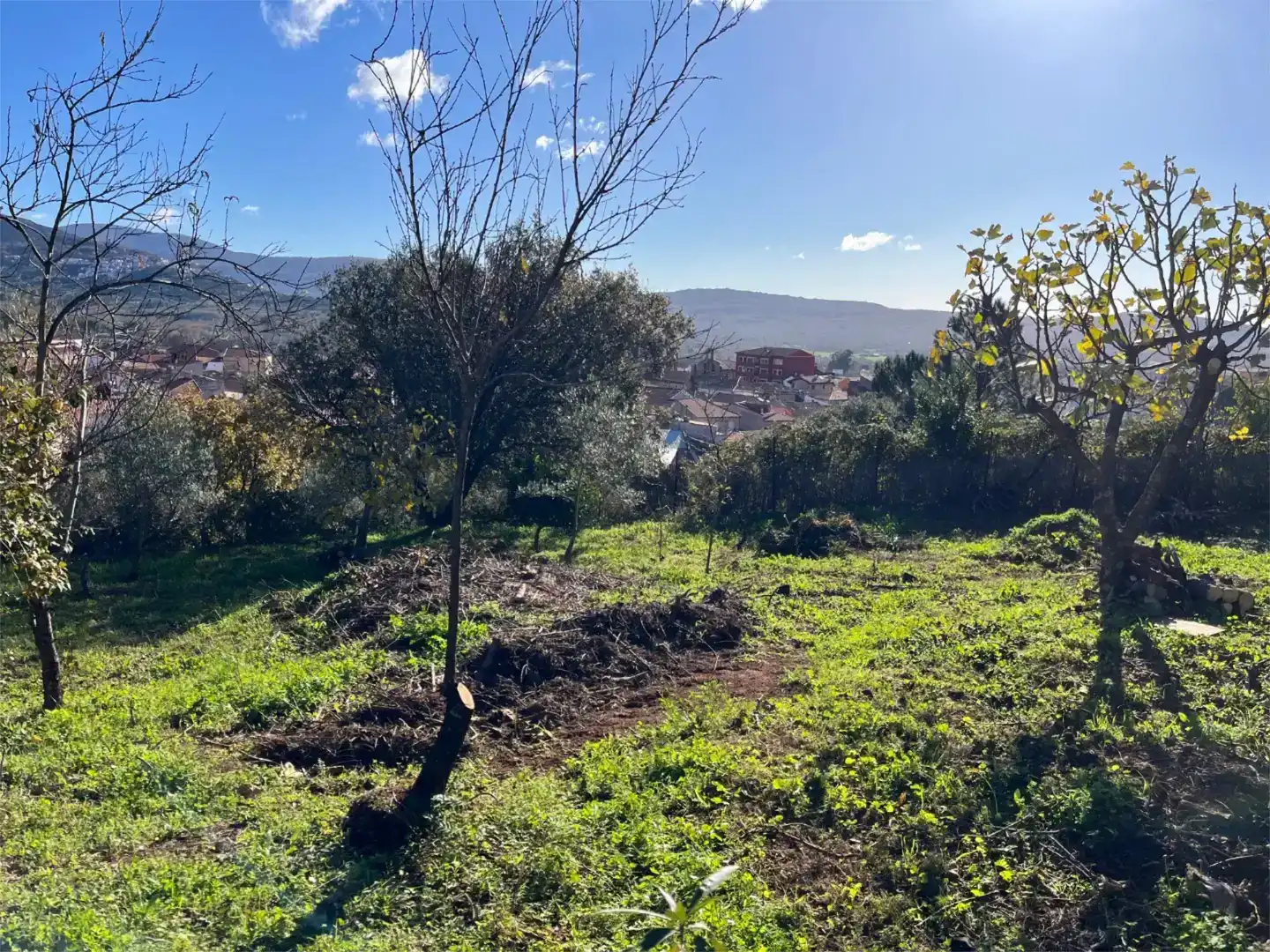 Terreno en venta en Valverde del Fresno