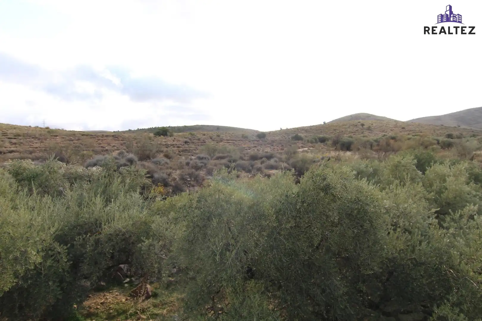 Terrain rustique à vendre à Alcolea, imagen 5