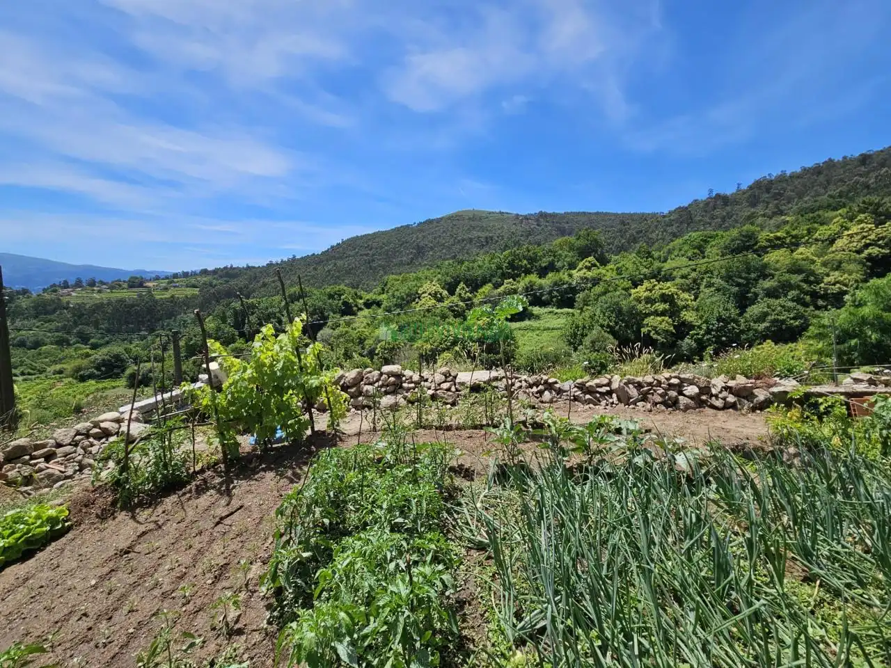 Haus mit Garten zum Verkauf in Arbo, imagen 7