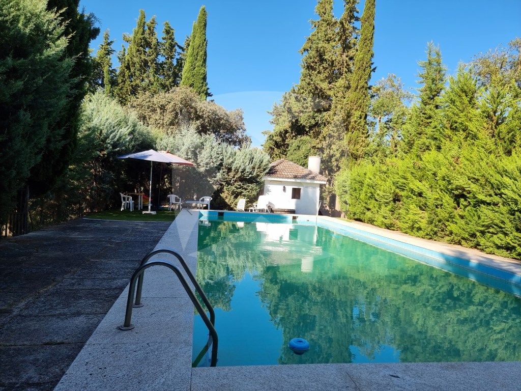 Piscina de Casa o xalet en venda en Badajoz Capital amb Aire condicionat, Jardí privat i Terrassa