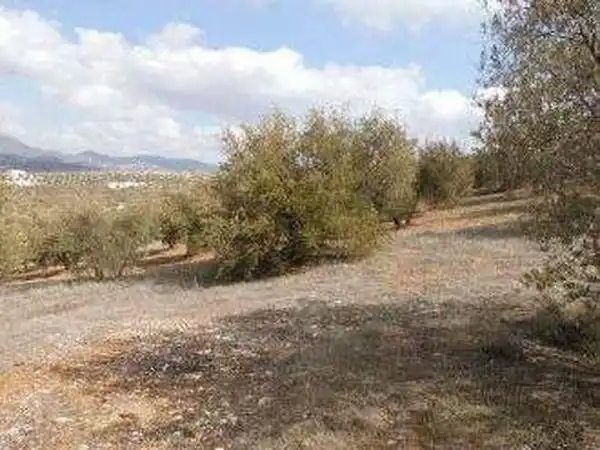 Terreni e lotti in vendita a Alcaudete, imagen 11