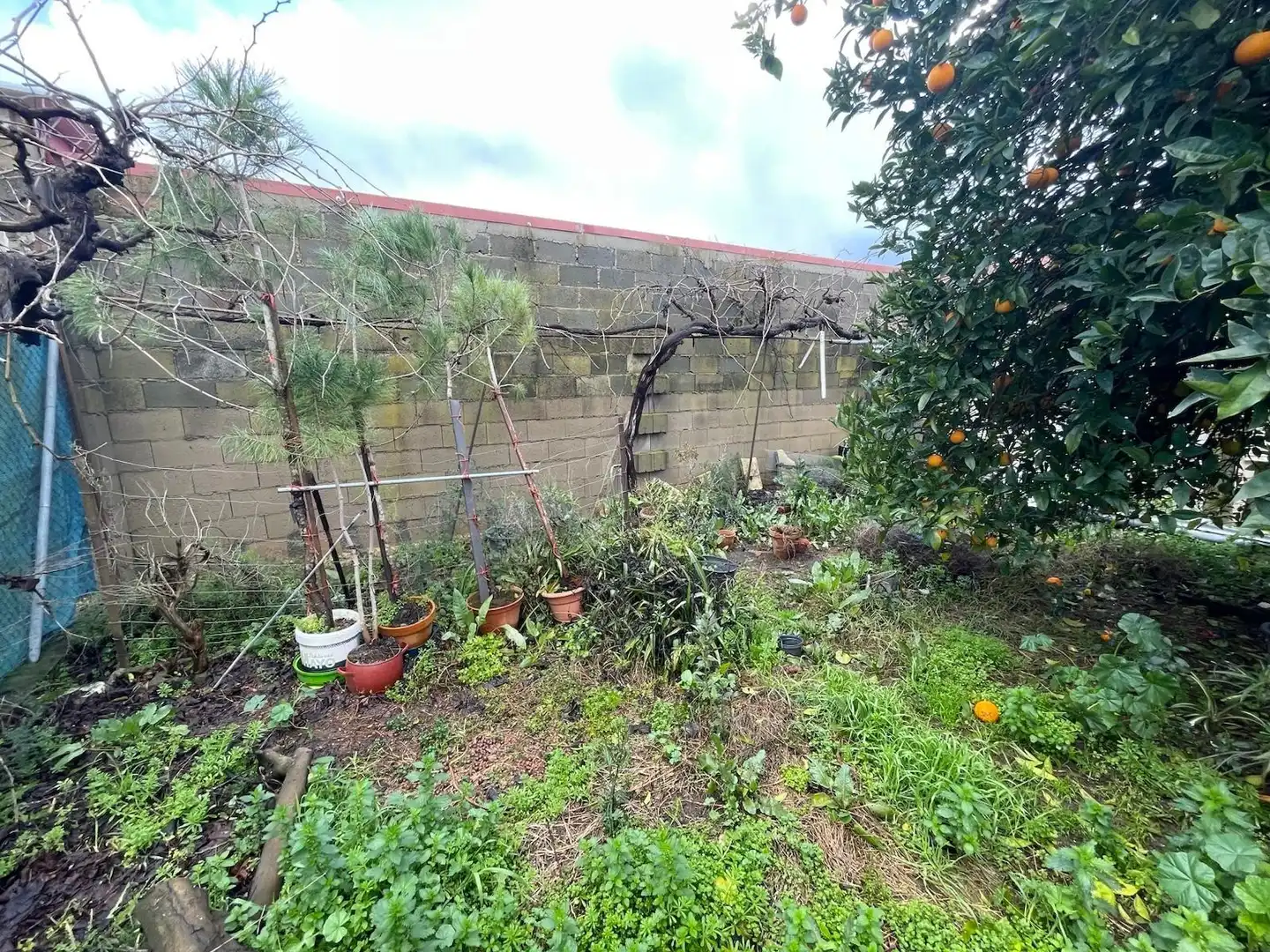 Jardín de Casa o chalet en venta en Valdefuentes con Trastero y Balcón