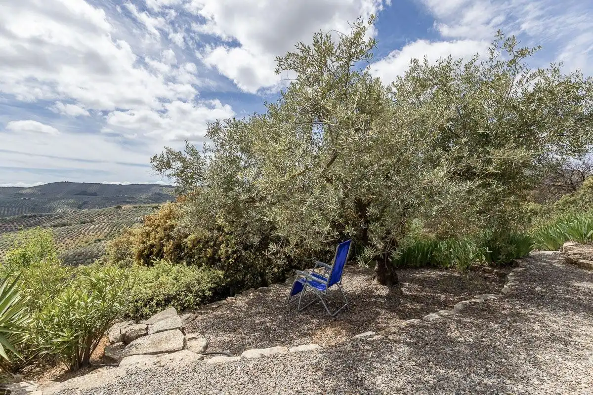 Jardín de Finca rústica en venta en Alcalá la Real con Calefacción y Terraza