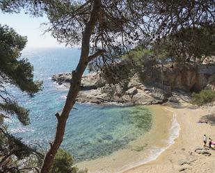 Jardí de Residencial en venda en Castell-Platja d'Aro