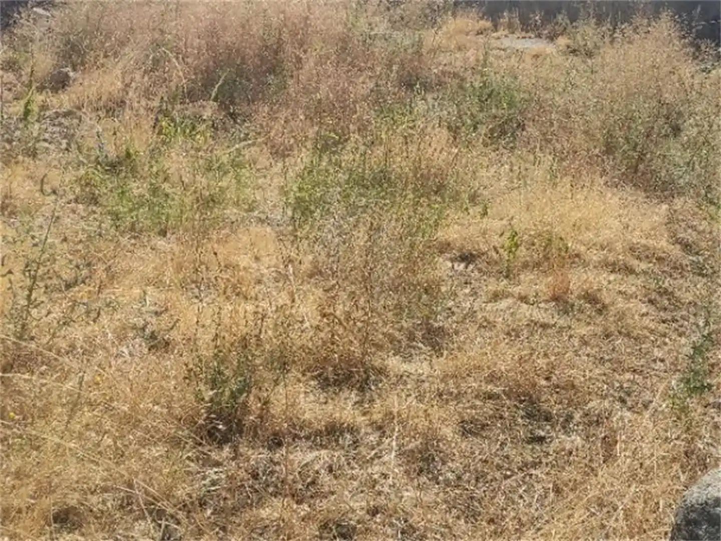 Terreno en venta en Gil García