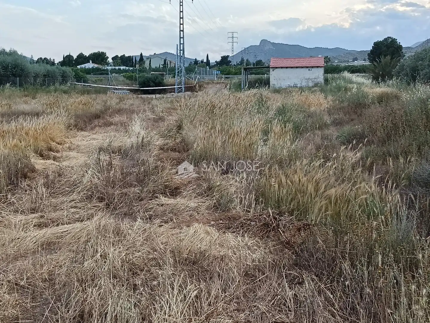 Houses for sale in Aspe