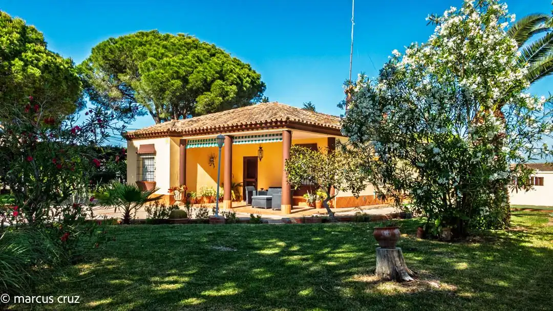 Chalet en venta en Calle Erizo 15, imagen 4