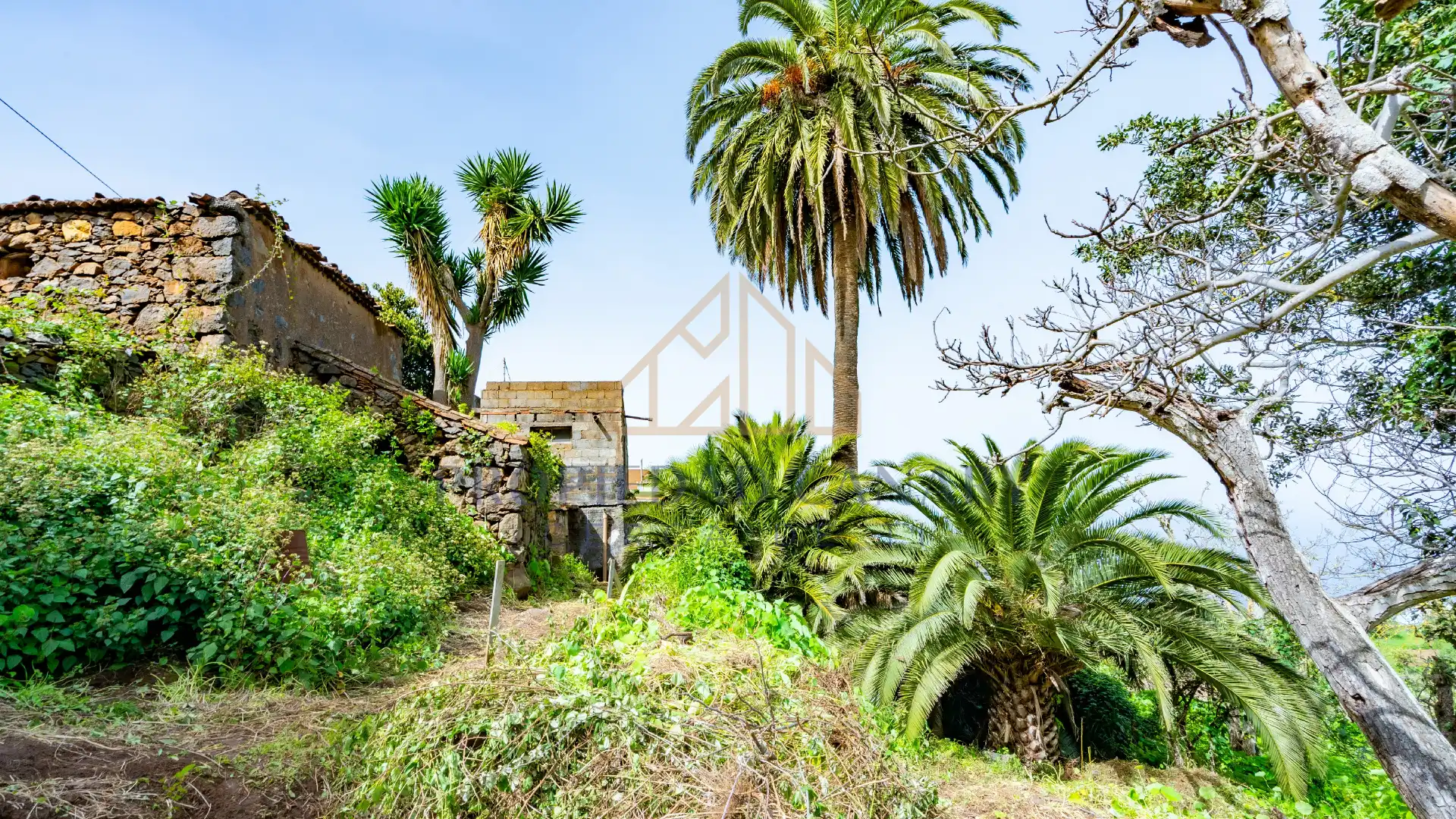 Finca rústica en venta en La Victoria de Acentejo