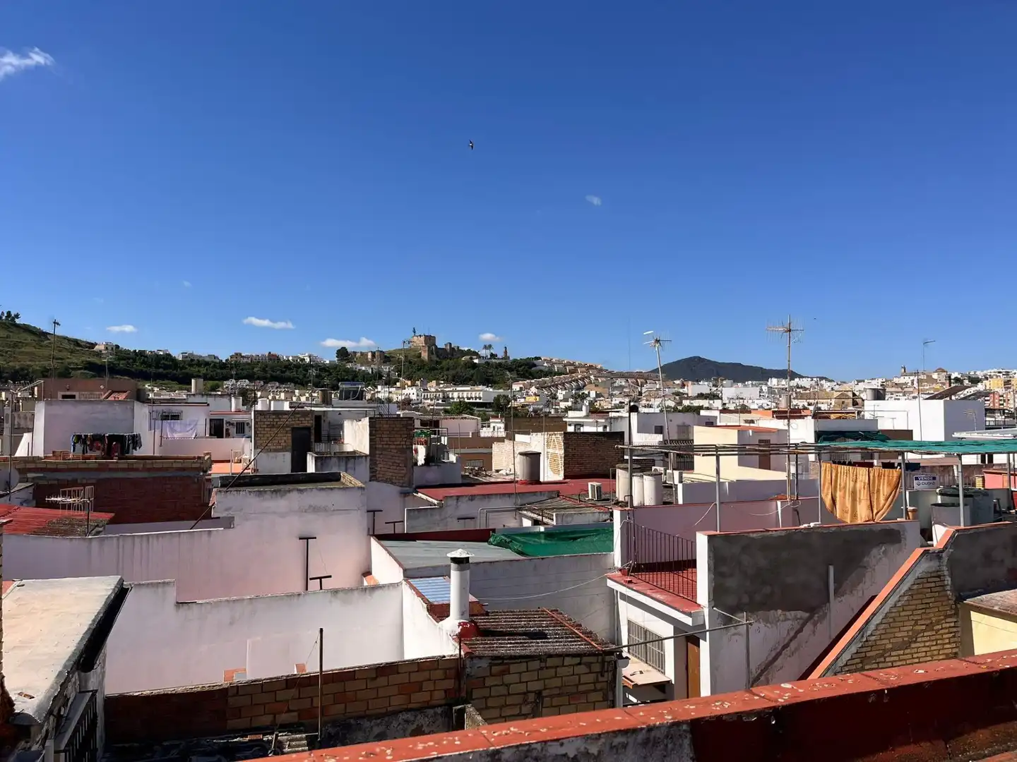 Exterior view of Detached homes for sale in Morón de la Frontera