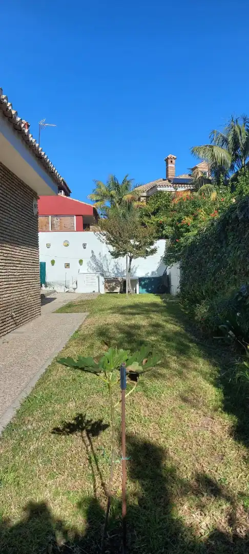 Chalet con terraza en venta en Calle de las Petunias, imagen 5
