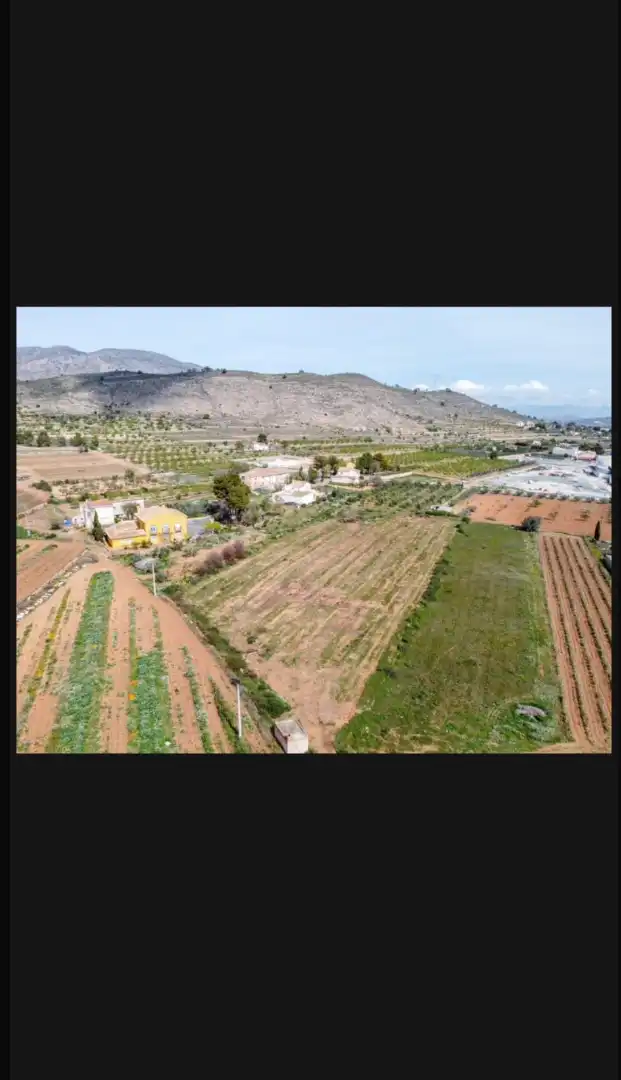Rural land for sale in Hondón de las Nieves / El Fondó de les Neus, imagen 5