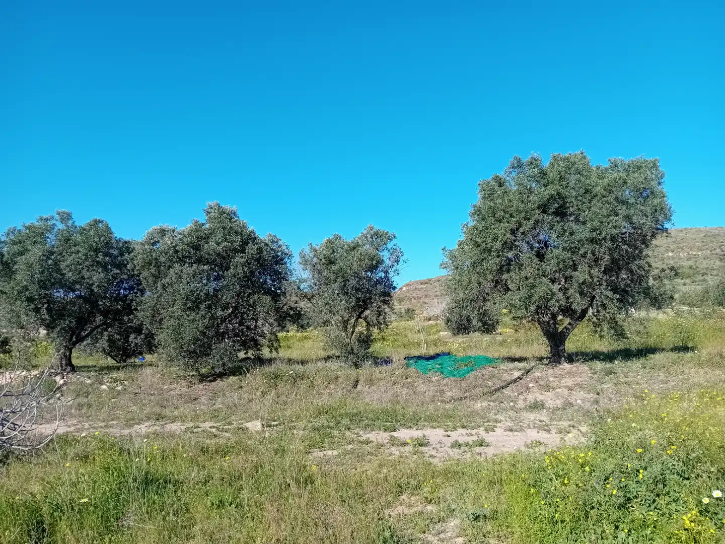 Land for sale in Cartagena