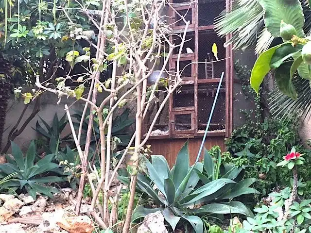 Casa in vendita a La Pedrera - Vessanes, imagen 9