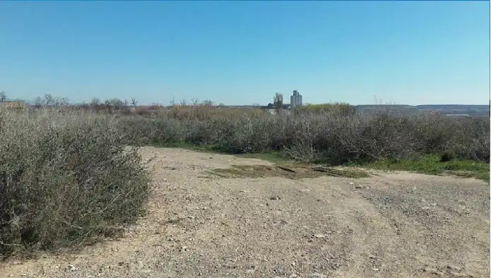 Rural land for sale in Plan Parcial Sau, imagen 5