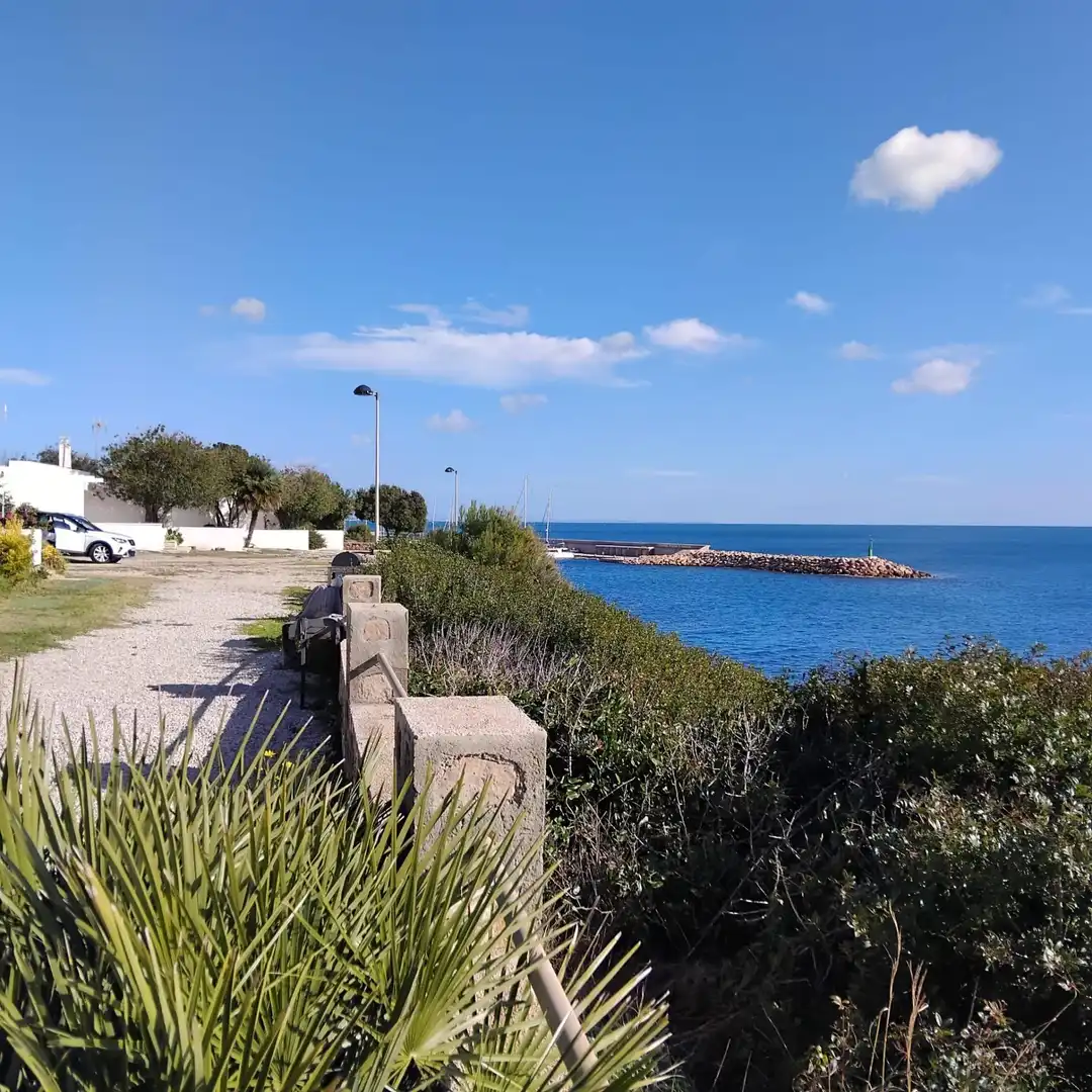 Vista exterior de Ático en venta en L'Ametlla de Mar  con Jardín privado, Terraza y Amueblado