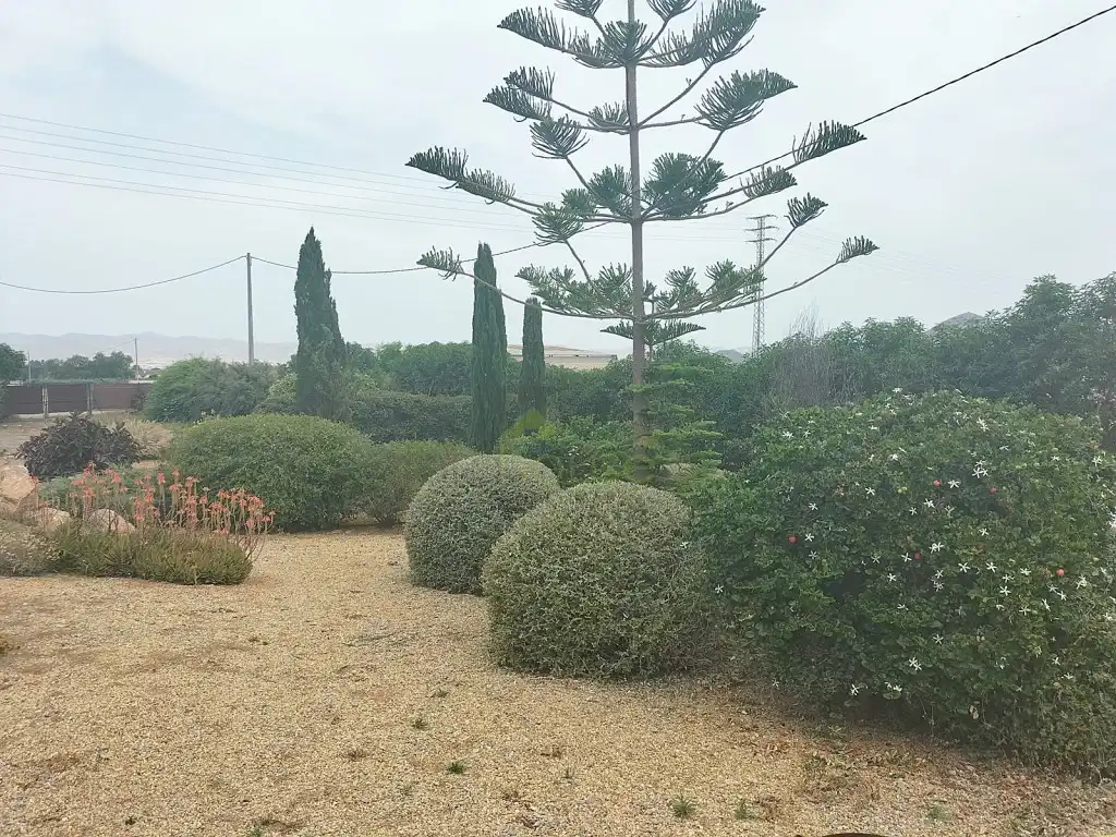 Casa en venta en Poligono 7 Paraje 137 La Ermita, imagen 65