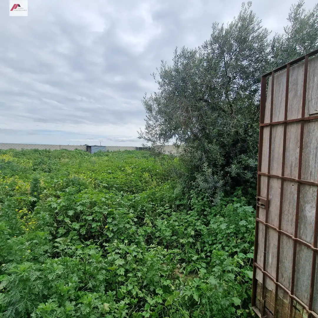 Rural land for sale in Ctra Sanlúcar - Cuatro Pinos, imagen 8