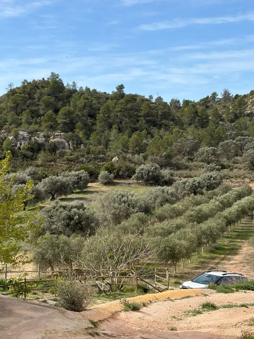 Finca rústica en venta en Flix