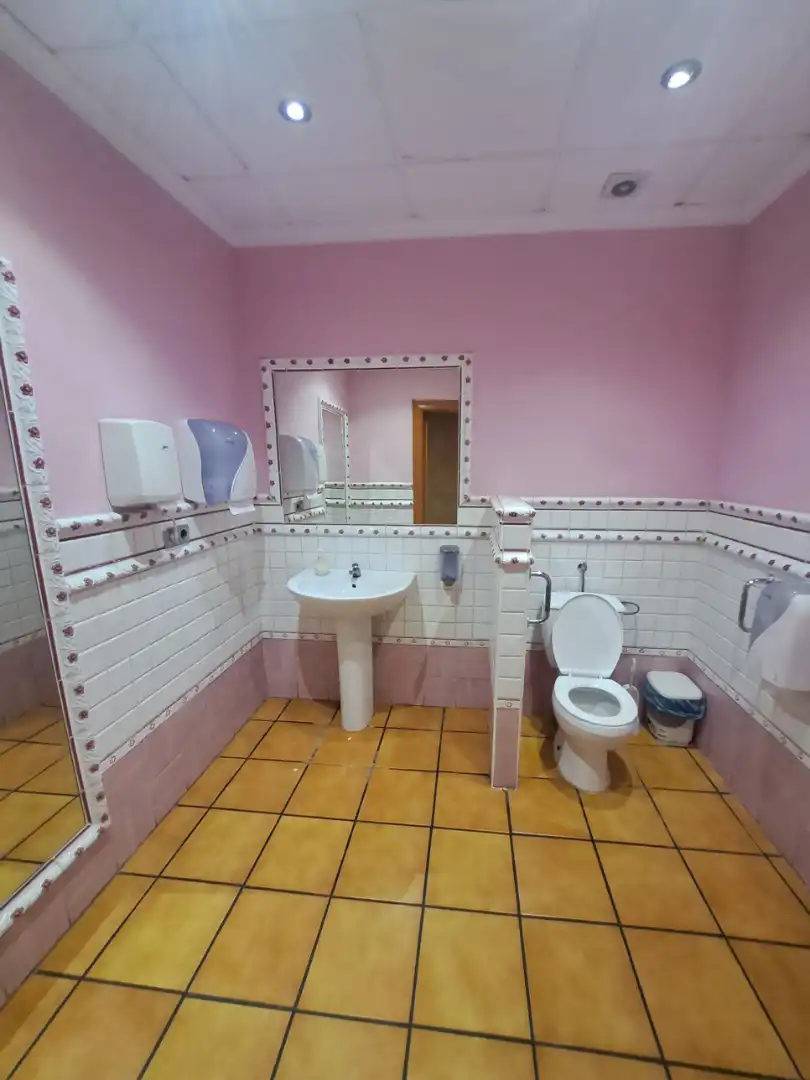 Business premises for sale in Avenida Romería de la Virgen del Carmen, imagen 6