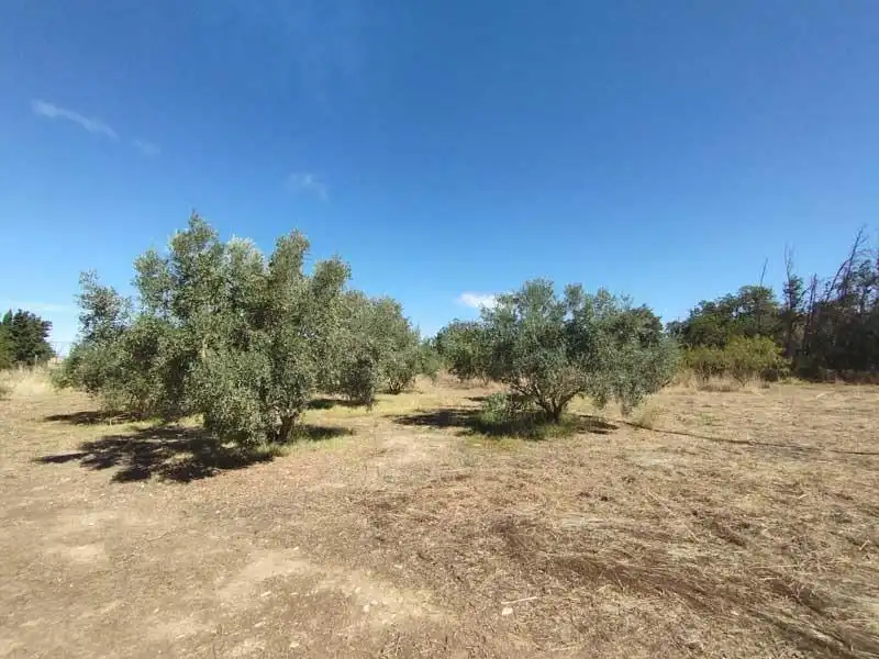 Casa rústica en venda a Camino Perdiguera, imagen 14
