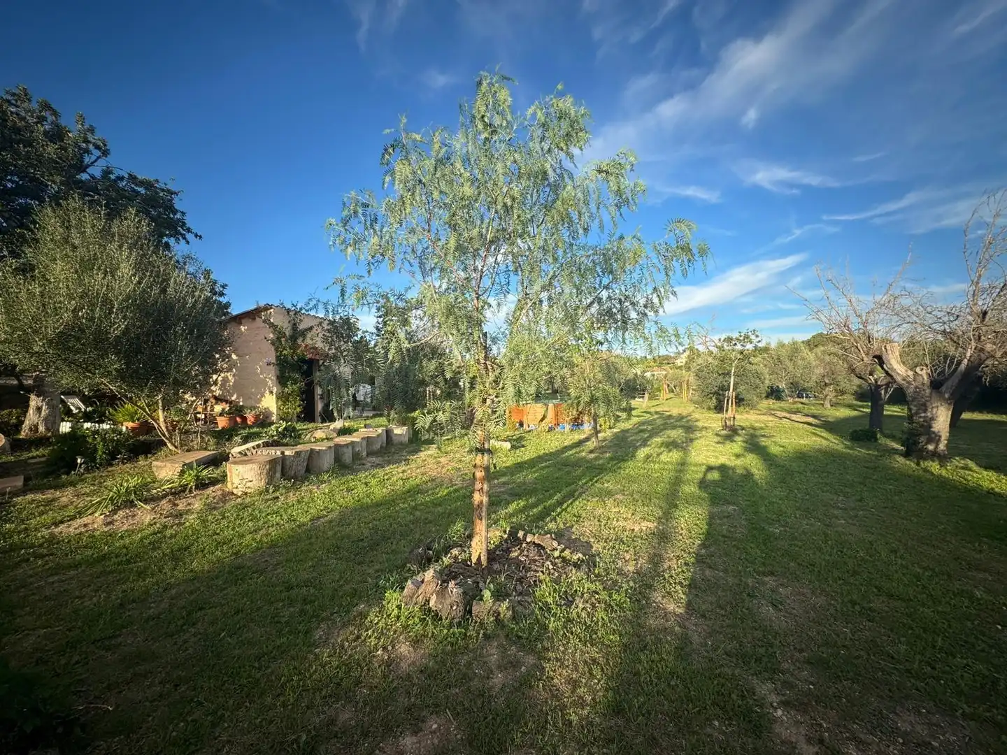Country house with garden for sale in Son Amonda - Reis Catòlics, imagen 40