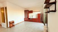 Living room of Flat for sale in Pineda de Mar  with Balcony