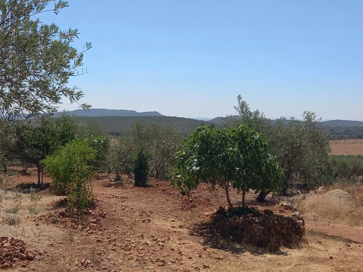 Finca rústica en venda en Cáceres