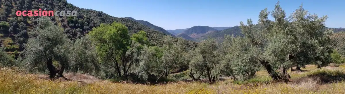 Vista exterior de Finca rústica en venta en Villanueva de Córdoba con Jardín privado, Trastero y Amueblado