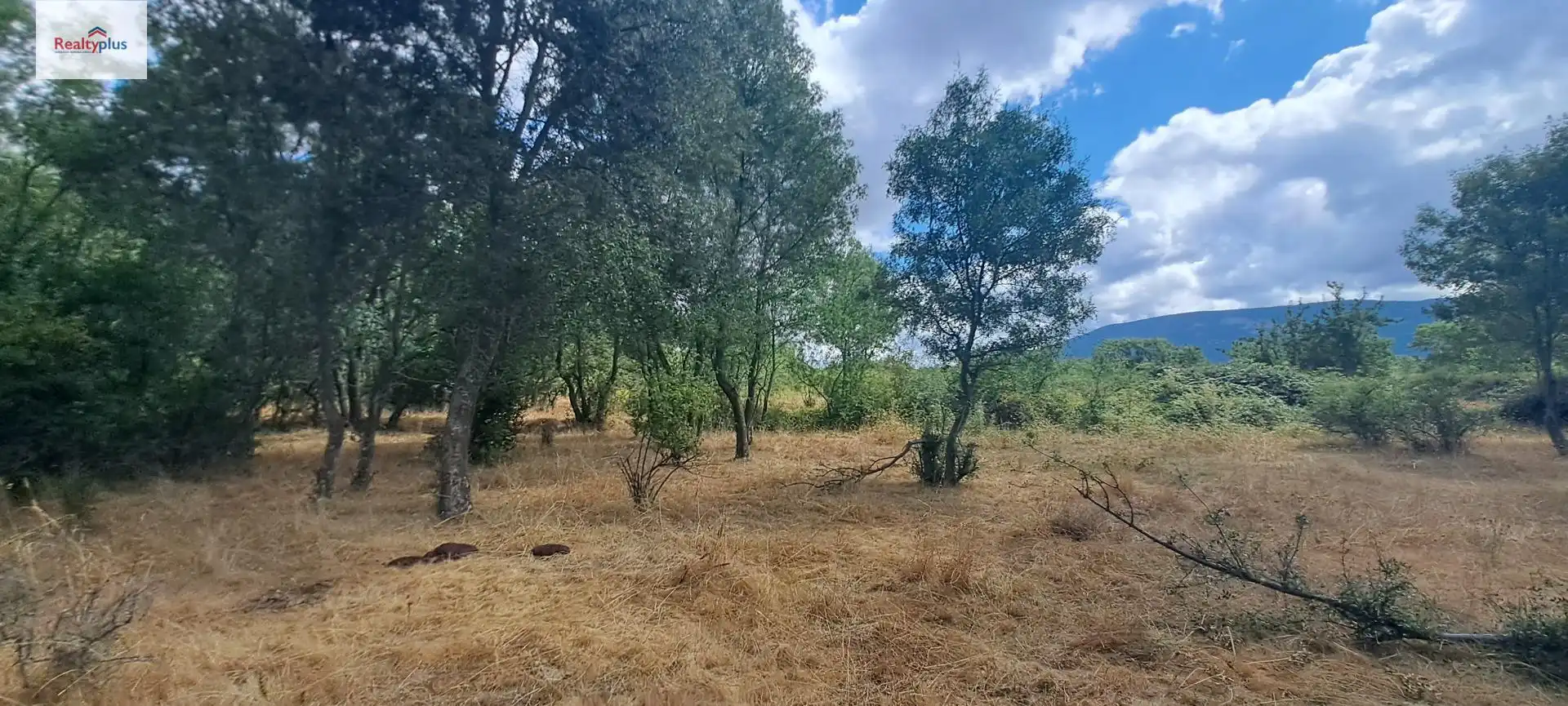 Terreni e lotti in vendita a Sotosalbos, imagen 13