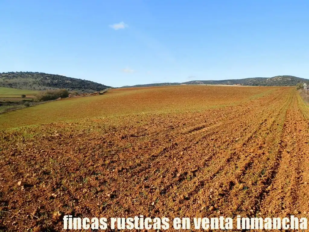 Terreno rustico in vendita a Centro - Plaza Mayor, imagen 7