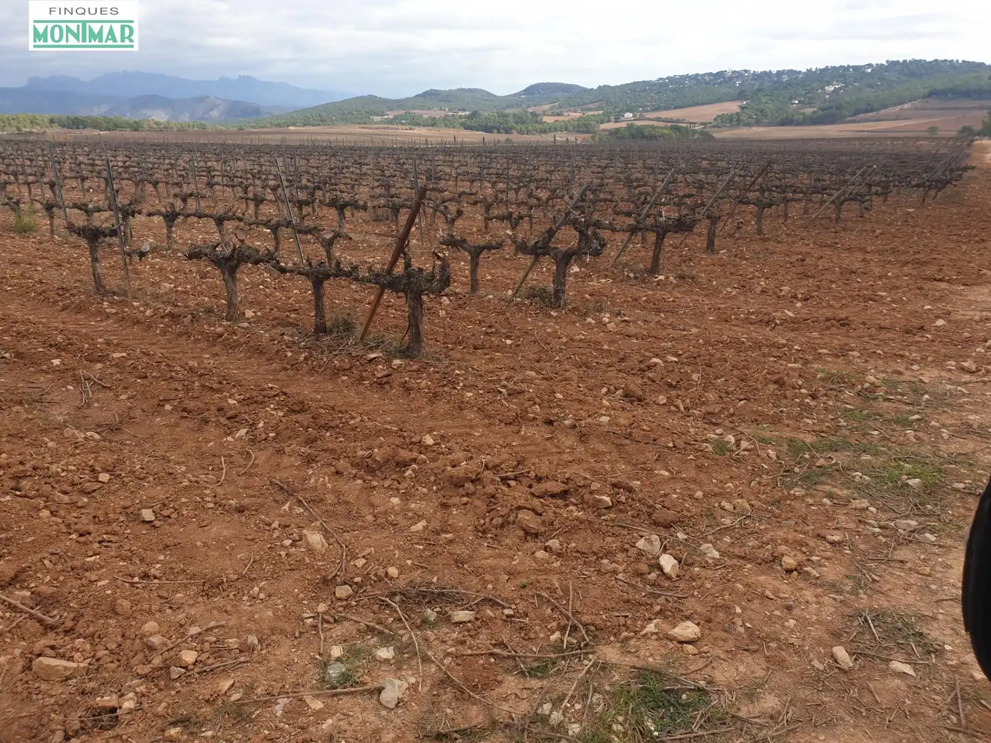 Finca rústica en venda en Vilafranca del Penedès