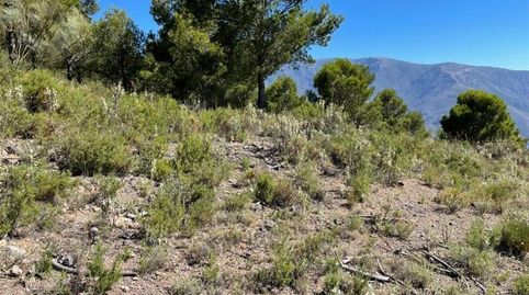 Foto 4 de Residencial en venta en Polígono 3 Parcela, Carataunas, Granada