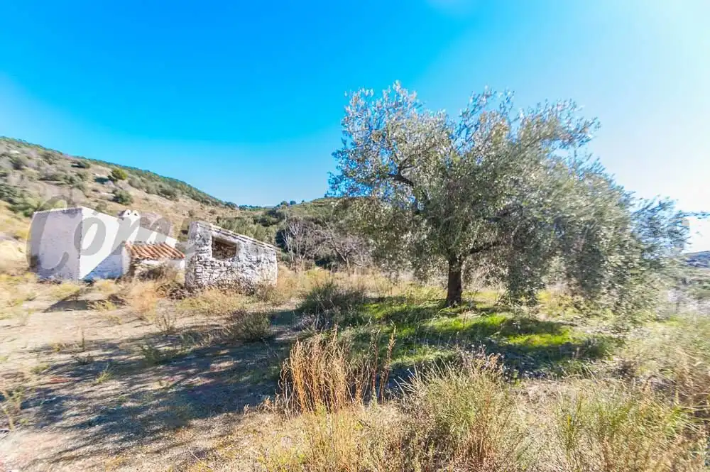 Terreno rústico en venta en Sedella