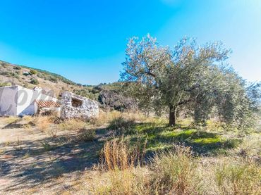 Terreno rústico en venta en Sedella