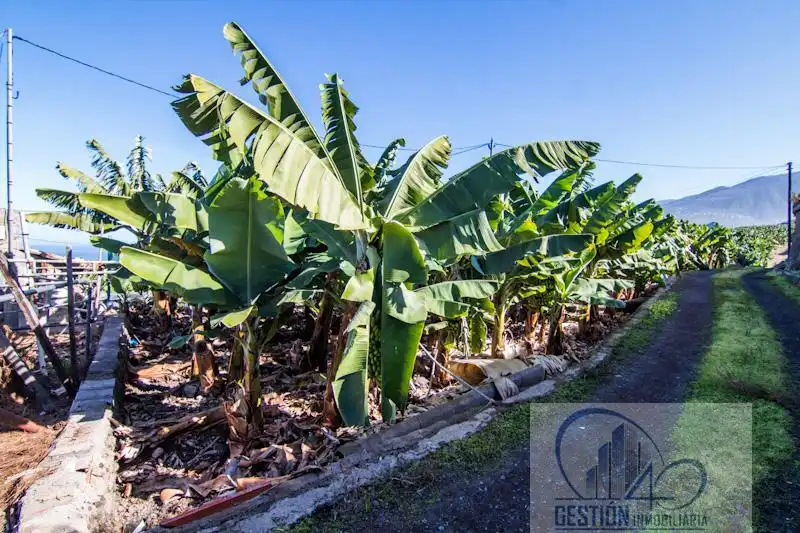 Finca rústica en venta en Puerto de la Cruz