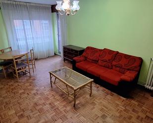 Living room of Flat for sale in Burgos Capital  with Terrace and Furnished