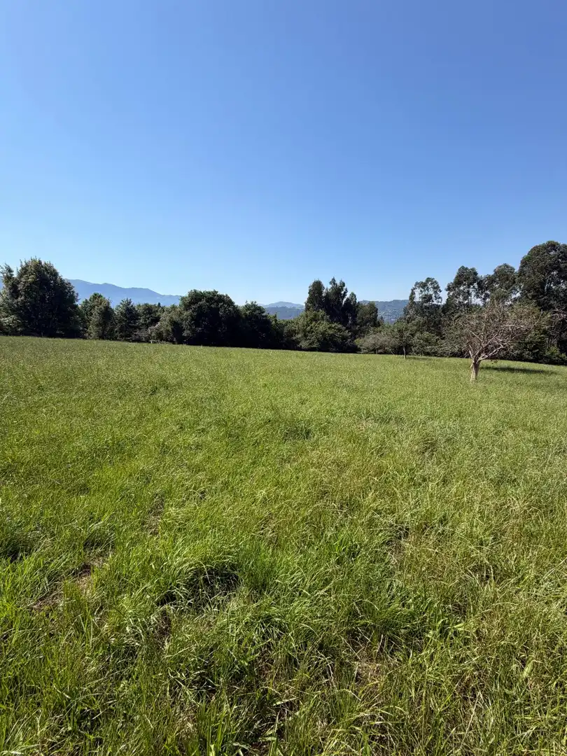 Residencial en venta en Colunga