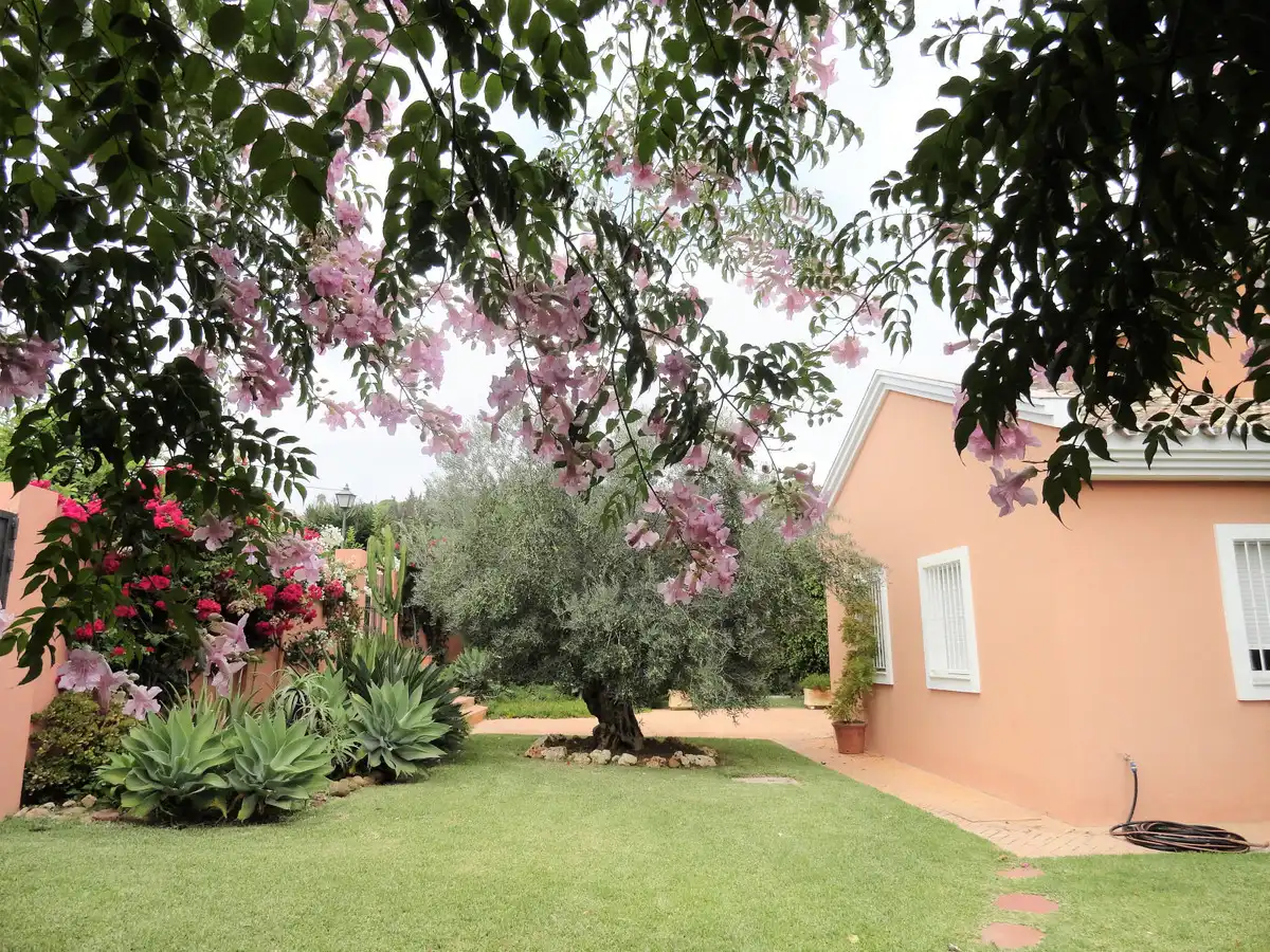 Casa amb piscina en venda a Estepona Pueblo, imagen 37