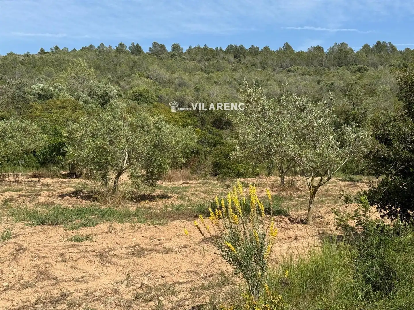 Rural land for sale in Massos de Vespella, imagen 25