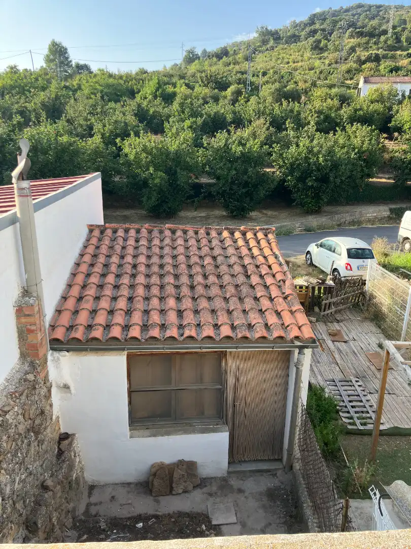 Vista exterior de Casa o chalet en venta en Benassal con Jardín privado, Terraza y Balcón