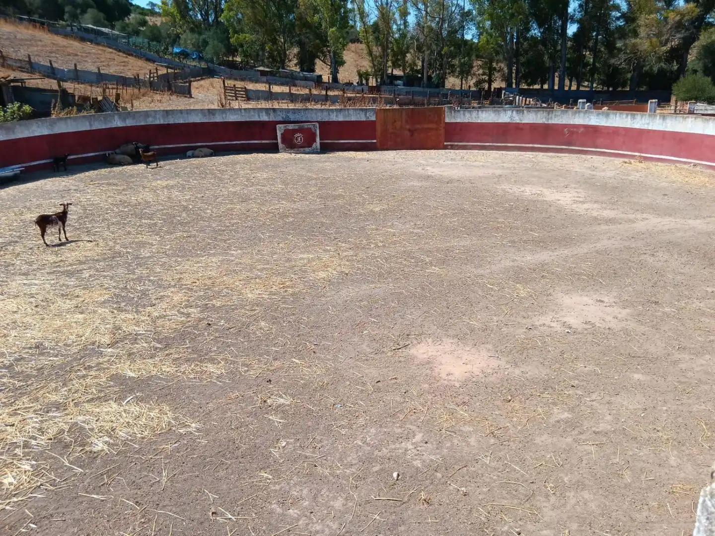 Casa rústica en venta en San Martín del Tesorillo, imagen 8