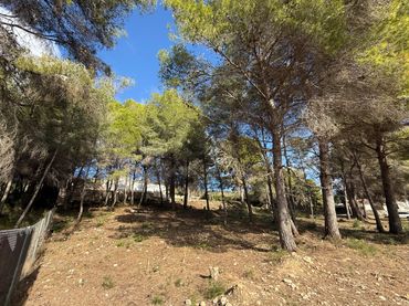 Terreno residencial en venta en Partida Tosal - Zona dels Castellans