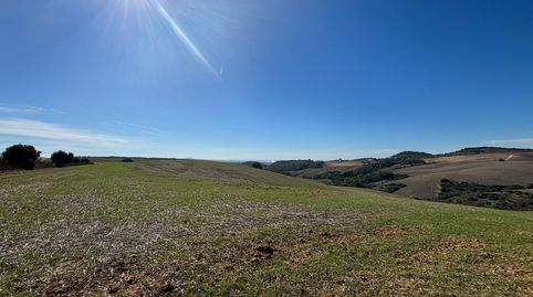 FINCA CON VISTAS