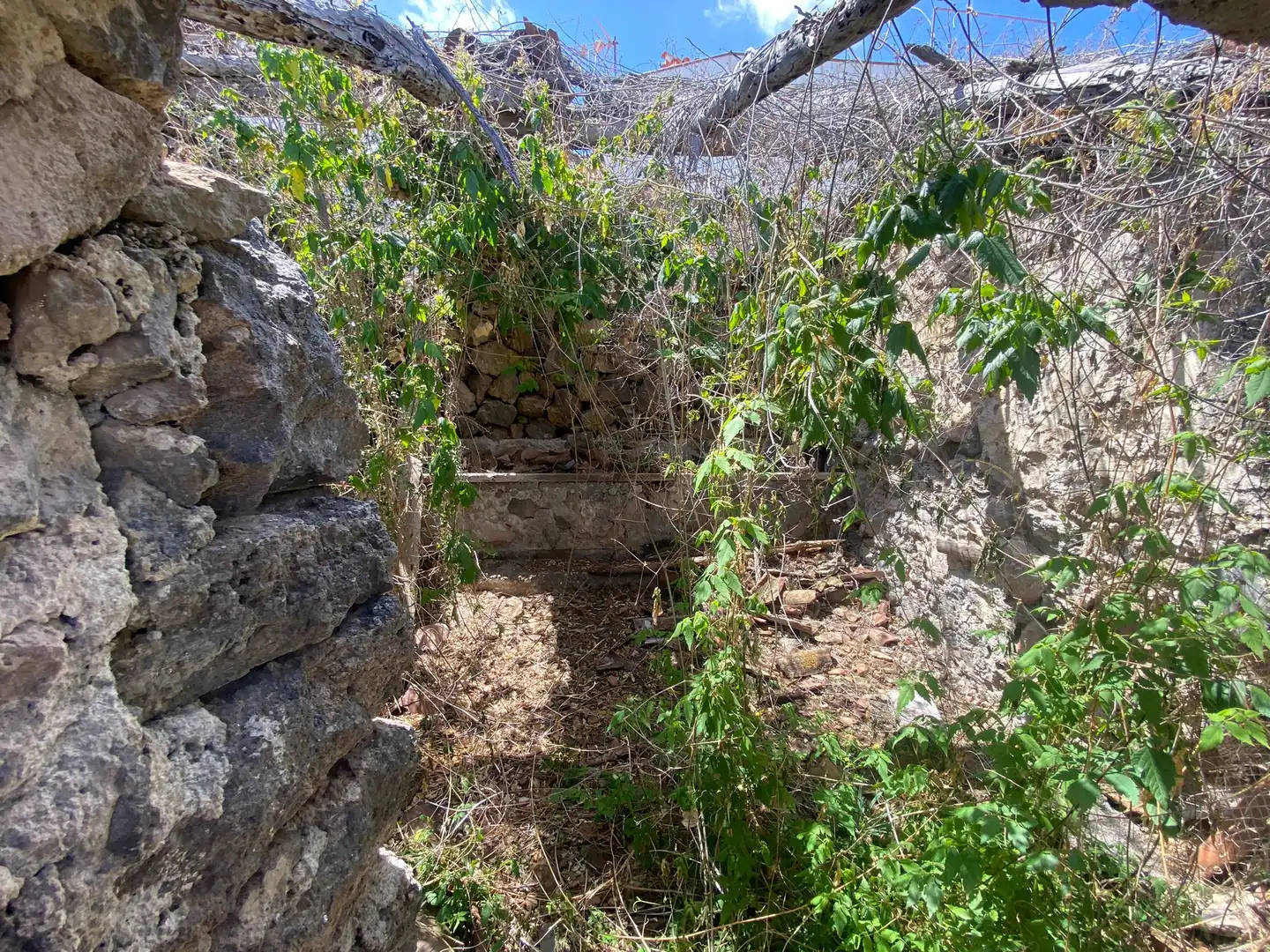 Residential land for sale in Camino la Cueva del Rey 8, imagen 12