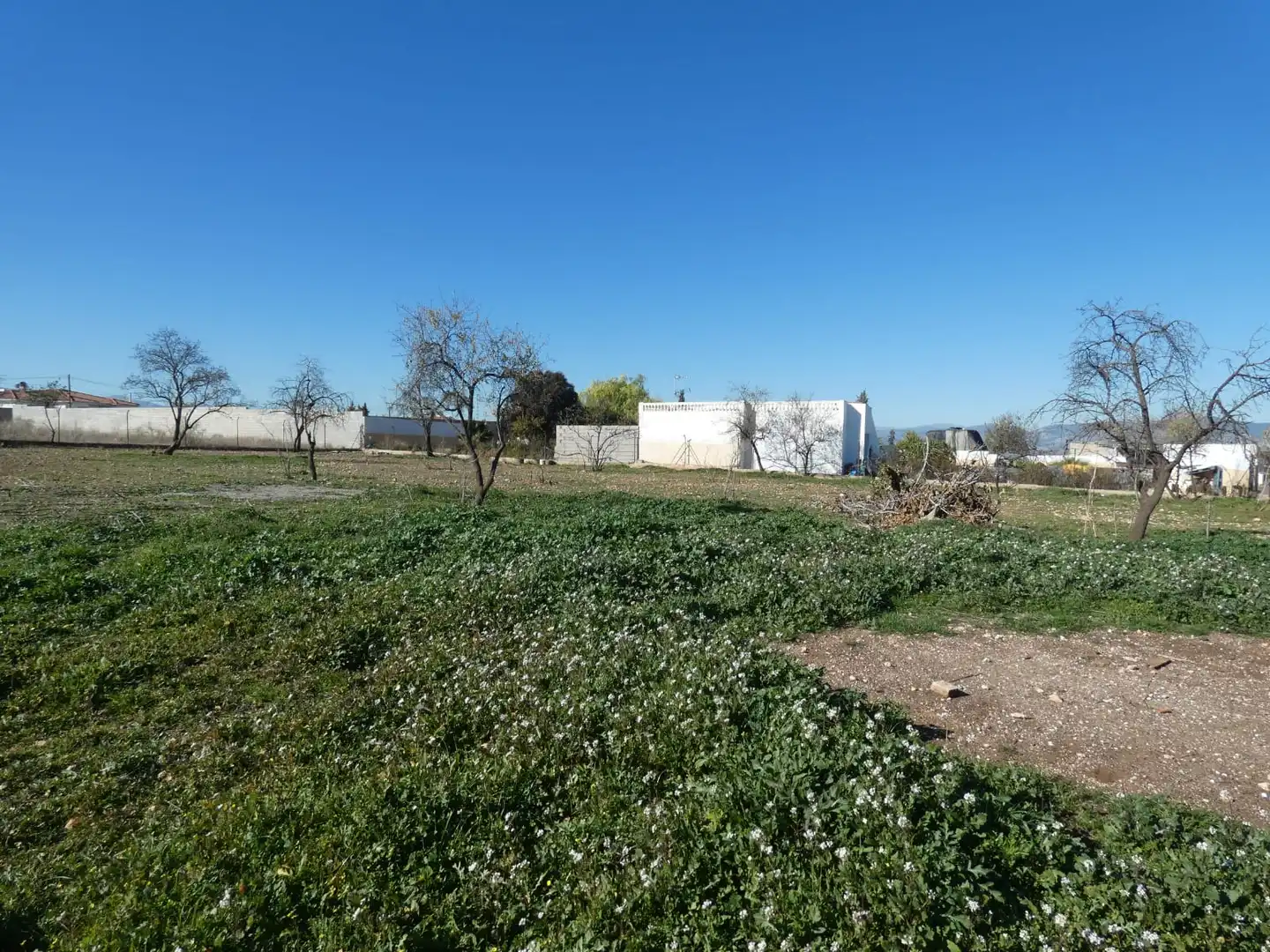 Rustikales Grundstück zum Verkauf in Camino de Tablazos 160, imagen 3