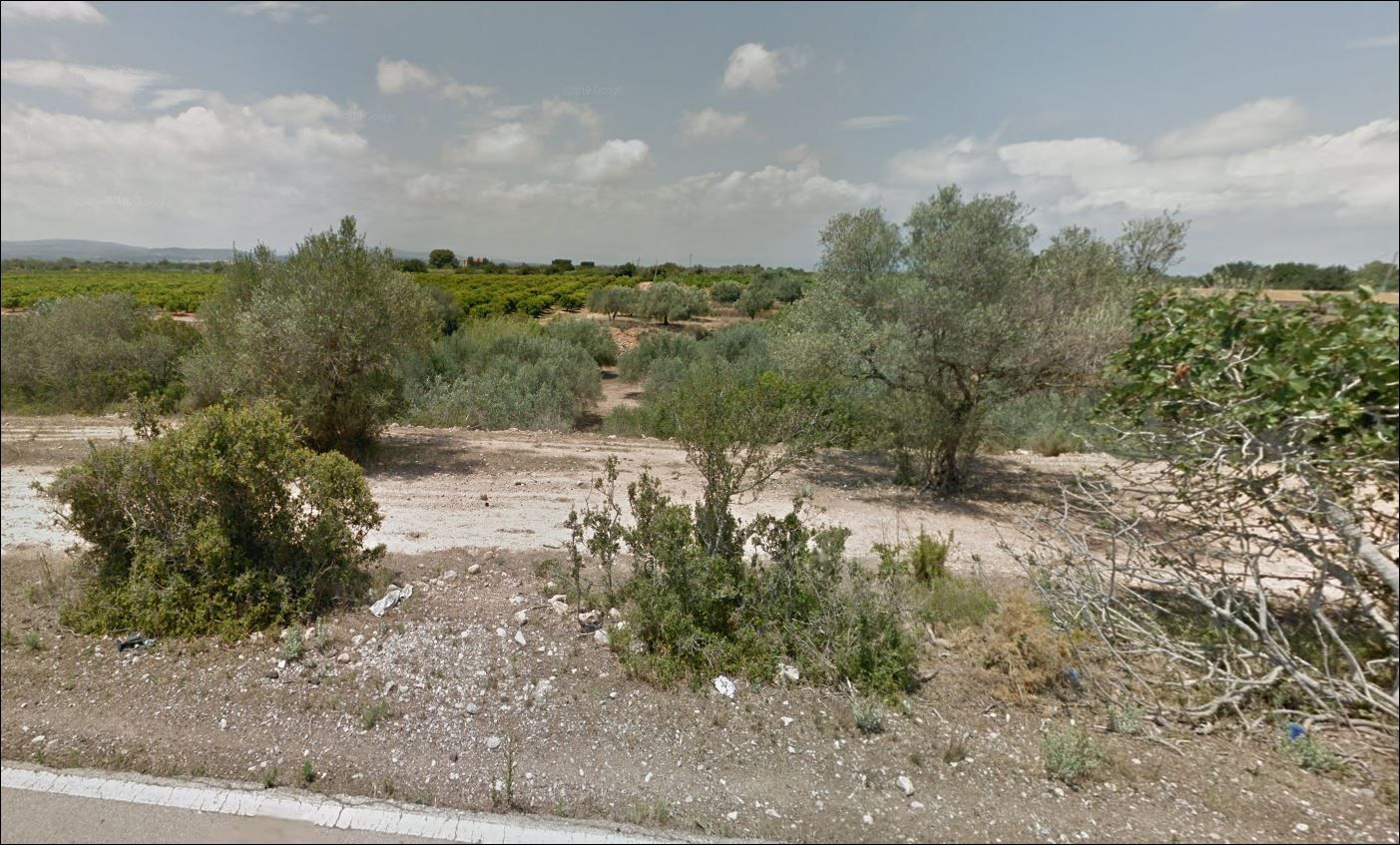 Grundstücke zum verkauf in N/A, Partidas de interior - Zona Rústica
