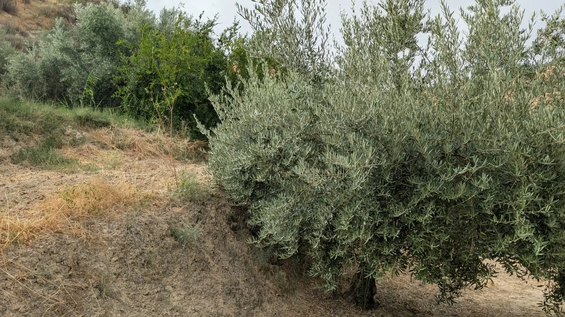 Terreni e lotti in vendita a N/A